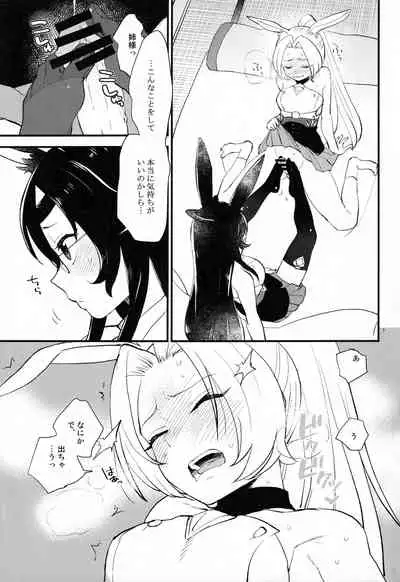 Mental Cube Jikken ni Okeru Jiko Narabi ni Higai Houkokusho