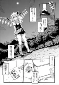 (C79) [Avion Village F (Fechi)] After The Love Affair (Touhou Project)