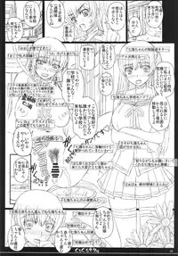 (C84) [Shiawase Kyouwakoku (Shiawase no Katachi)] Shiawase no Katachi no Guruguru Netachou 84