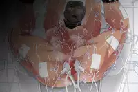 [UNDEAD WORLD (Hashimoto Yuuto)] Danshi Koukousei Kankinroku ~Ore no Shinyuu wa Seishori Pet~