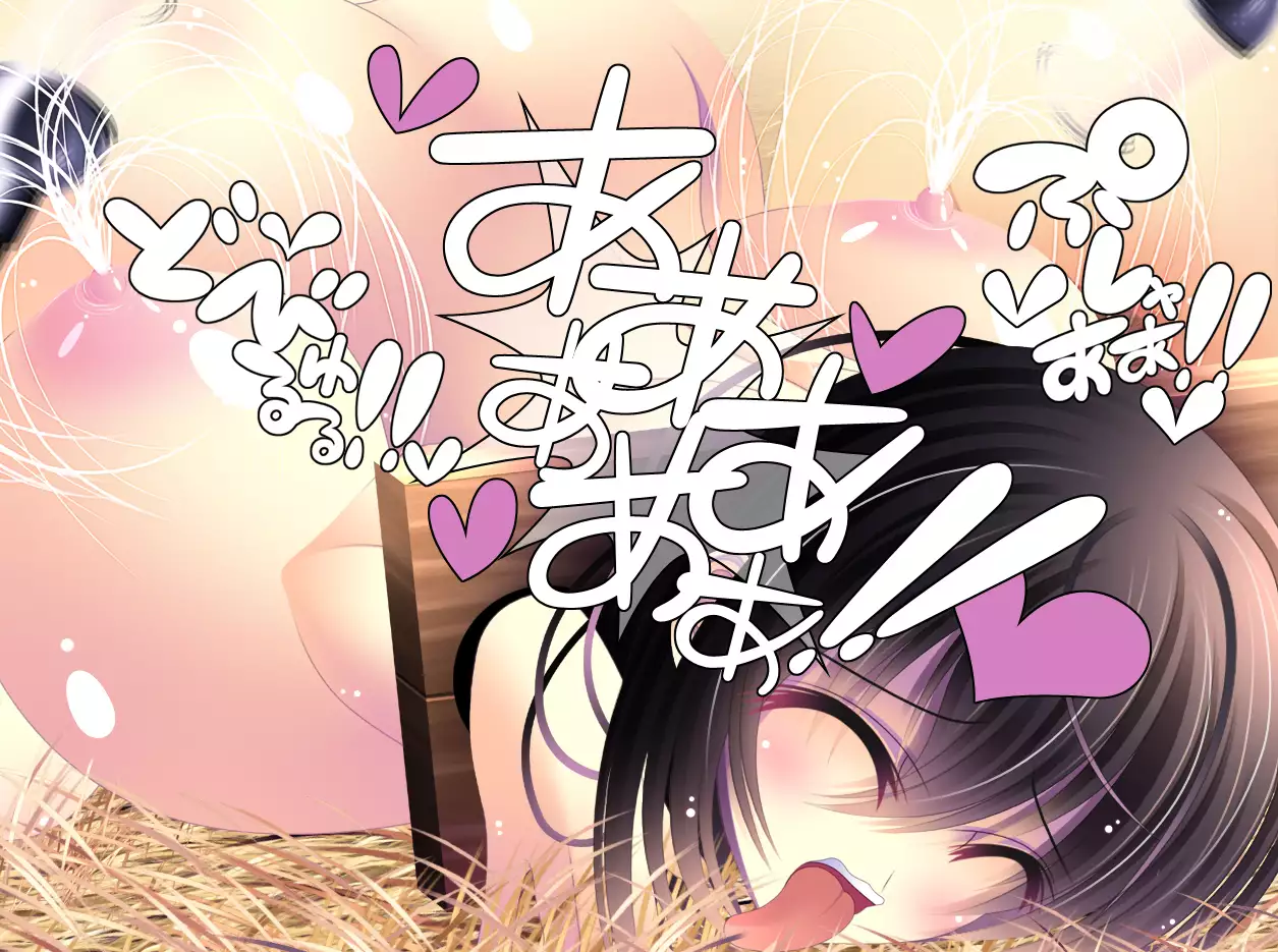 yabure, bakunyu chochichi naedoko ni, benki ni Daraku To sa reru hiroin!~ Hime ￮ setsuna ~