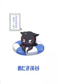 C95) [Medama Keikoku (Mebura)] Mizugi Foreigner to Luluhawa de SAN Check! (Fate/Grand Order) [Chinese] [萌纹个人汉化]