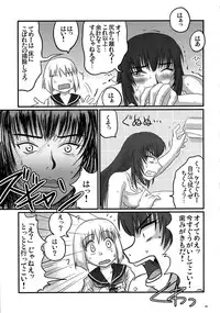 (C71) [Nozarashi (Nozarashi Satoru)] Gyakushuu no Kyouhime-sama