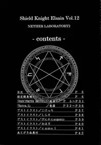 Shield Knight Elsain Vol. 12 NETHER LABORATORY 2