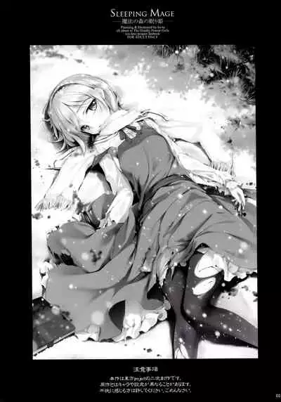 (C81) [Gekidoku Shoujo (ke-ta, Hyuuga, Touma Nadare)] SLEEPING MAGE -Mahou no Mori no Nemurihime- Gekidoku Shoujo Publication Number VII (Touhou Project)[Chinese]