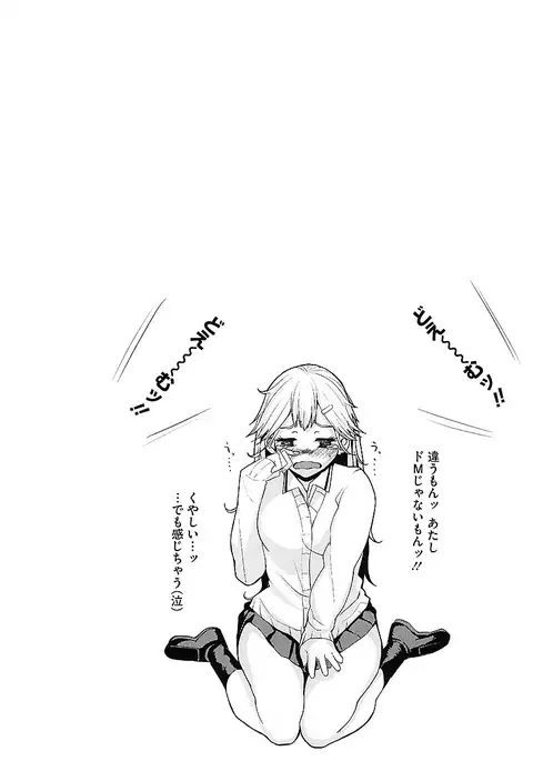 AneDol ~Onee-chan wa Idol~