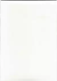 (C74) [Jingai Makyou Club (Wing Bird)] Charaemu W BR003 FLASH BACK1985 P03 (Various)