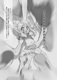 [P.A. Project (Teruki Kuma)] Hanshoku 2 ~ Karibara ~ [Digital]