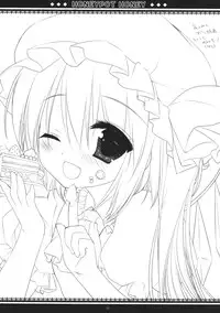 (Reitaisai 10) [D.N.A.Lab., Ichigosize (Miyasu Risa, Natsume Eri)] HONEYPOT HONEY (Touhou Project)