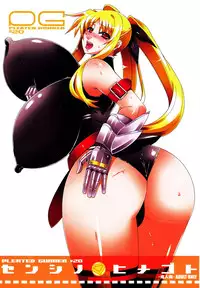 (C77) [HGH (HG Chagawa)] Pleated Gunner #20 Senshi no Himegoto (Part 2) (Mahou Shoujo Lyrical Nanoha) [English][_ragdoll]