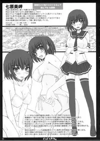 (C82) [Shiawase Kyouwakoku (Shiawase no Katachi)] Shiawase no Katachi no Guruguru Netachou 82