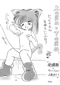 (C49) [LOLIC SYSTEM] PETANSHIP