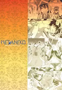 (C94) [Metaneko (Aotsu Umihito)] Sanzou-chan ni Massage (Fate/Grand Order)