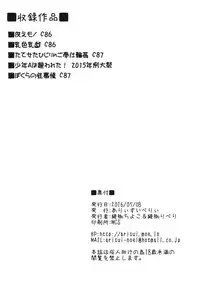 [Arysuivery (Ayakase Chiyoko, Ayakase Riberi)] Touhou Soushuuhen 4 (Touhou Project) [Digital]