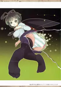 (CT13) [Shiinotomoshibitake (Ippongui)] Touhou Mougaroku (Touhou Project)