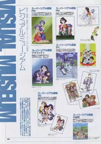 Super Real Mahjong Visual Fan Book Perfect Collection