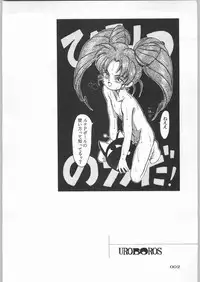 (C45) [Uroboros (Various)] Paraselene (Bishoujo Senshi Sailor Moon)