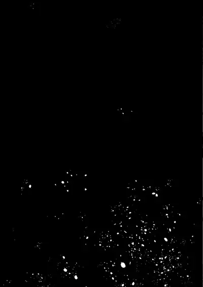 Zenbu Kimi no Sei da.II - It's All Your Fault. II