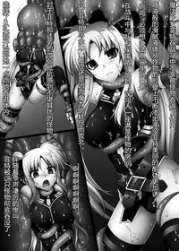 [Daraku Jiko Chousa Iinkai (Sch-mit)] Daraku Shitsumukan (Mahou Shoujo Lyrical Nanoha) [Chinese] [村长个人汉化] [Digital]