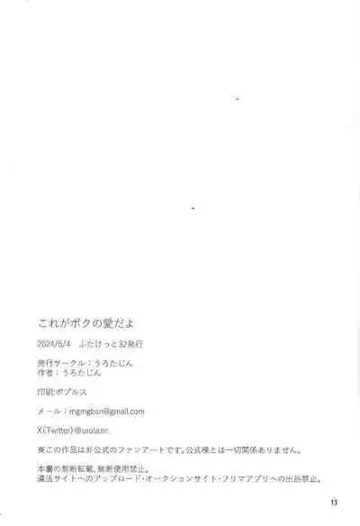 Kore ga Boku no Ai da yo