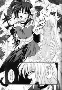 (C60) [RED RIBBON REVENGER (Various)] Elf's Ear Book 7 - Kamigami no Tasogare (Star Ocean 2)