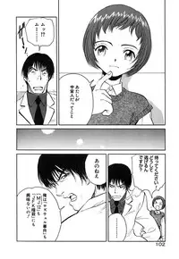 [Armadillo] Neko no Yurikago