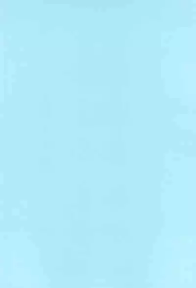 Aori Joshi L-hen Sono 1 Mesugaki o Wakaraseyou to shitara Gyaku ni Wakarasareta Hanashi