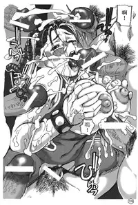 [Trochilidae] fighting queen 2 [Chiense]