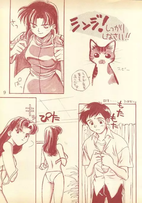 Piyoko no Pi 1 Zoukan - Bakuretsu! Evangeli Hunter SOS no Aoi Sora