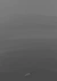 Yuan Yuan - Tenacity & Forbearance.