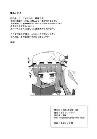 (Reitaisai 11) [Bottle Syrup (Inaho)] Mikkai (Touhou Project)