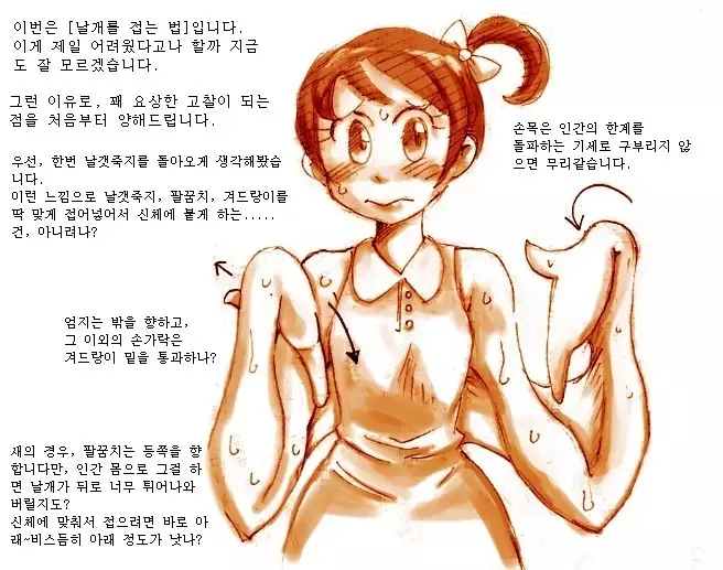 Study and practice about bird TF