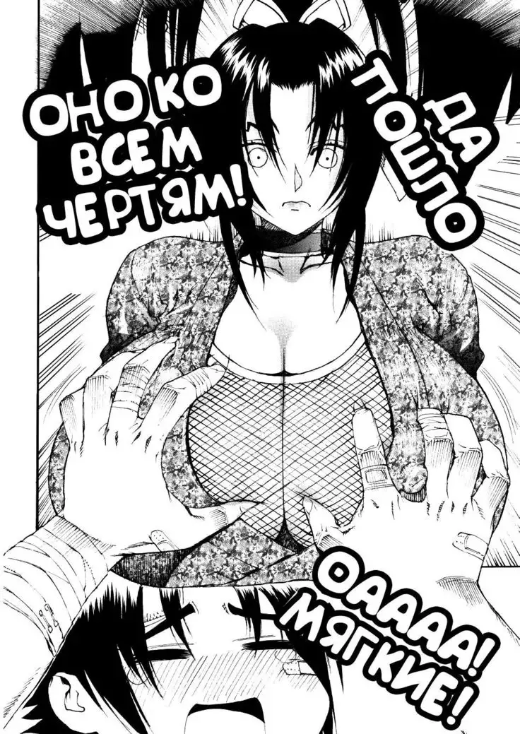 Leopard Hon 11 | Leopard Book 11