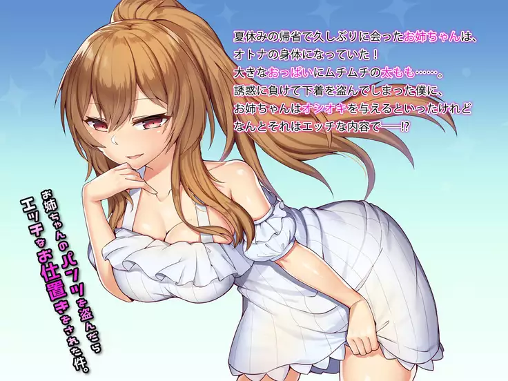 Oneechan no Pantsu wo Nusundara Ecchi na Oshioki wo Sareta Ken.