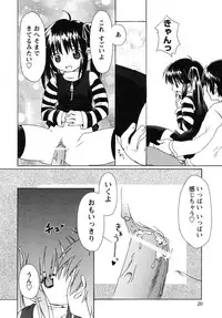 [Anthology] fox limit anthology 07 kneesocks