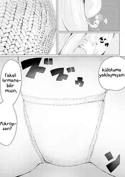 [marushamo] Sachie-chan wa Chiisakushitai | Sachie-chan onu daha da küçültmek istiyor ( bölüm 1 ve 2 ) [ Türkçe ]