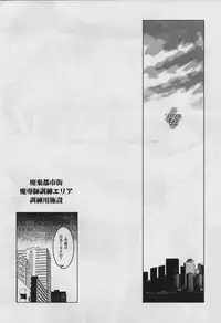 (C78) [HGH (HG Chagawa)] PG -PLEATED GUNNER- #21 - Senshi to Senshi to Otokonoko (Mahou Shoujo Lyrical Nanoha)