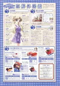 Canvas Sepia iro no motif Visual Fan Book