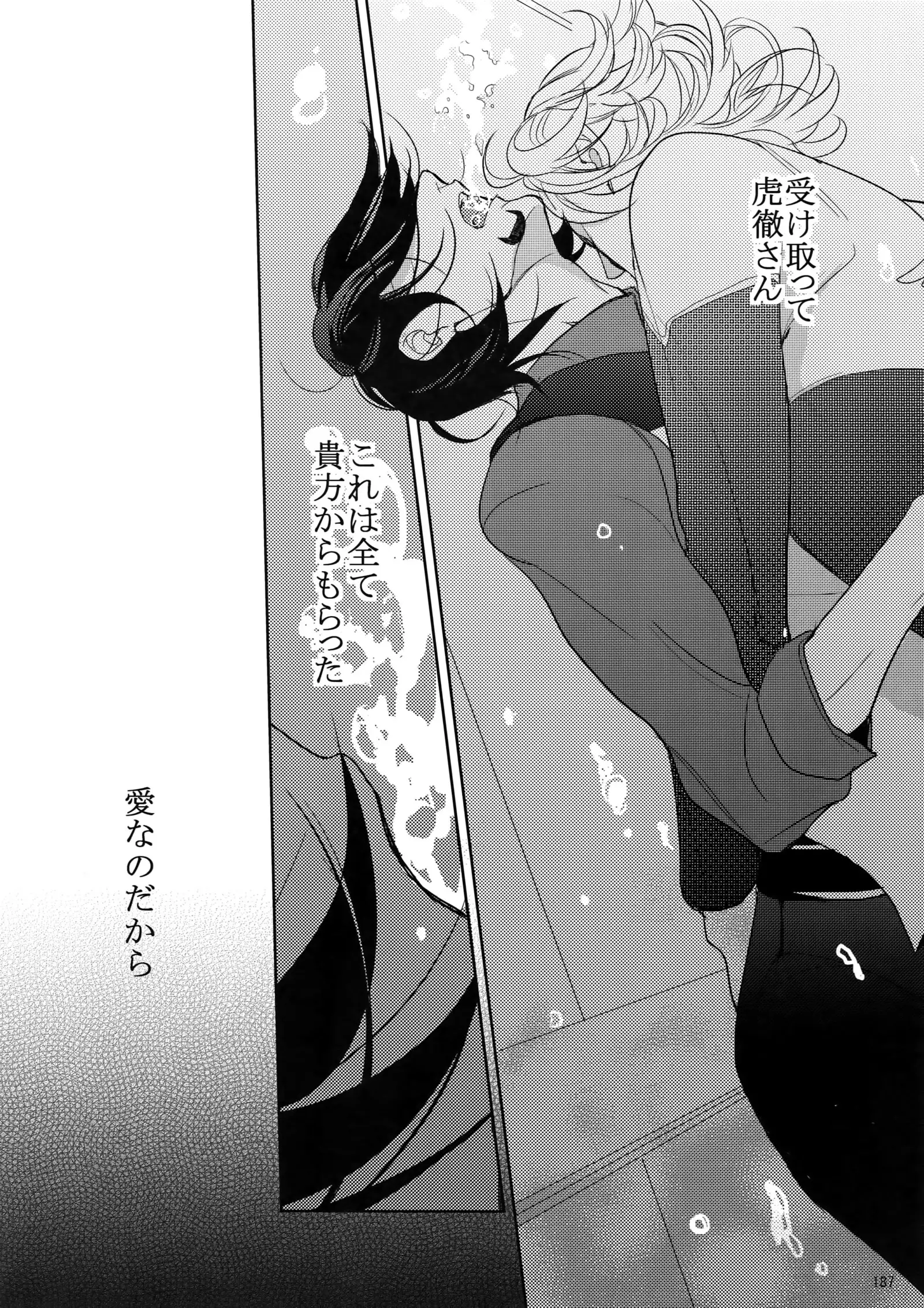 BOROZS Usagi Tora Sairoku