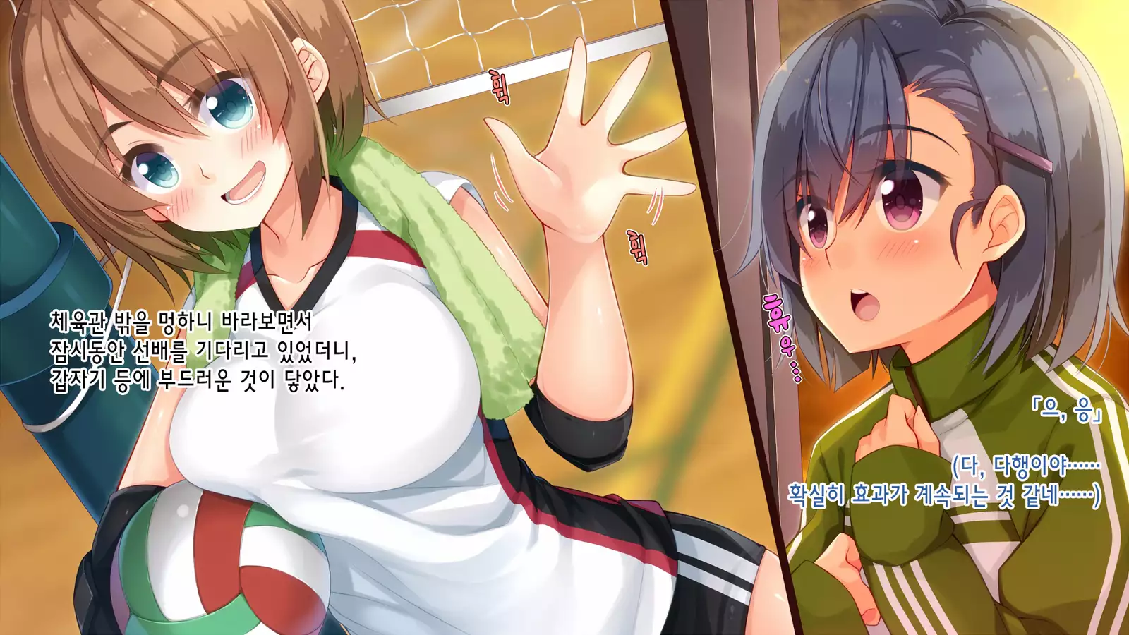 Akuma no Memochou ～Chicken-kun, Haikyuu Shoujo to Yume o Miru～