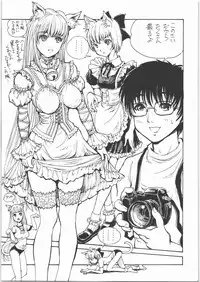 (C71) [Nippon Fair] Mote Asobi ni Ikuyo! 2 -H na Neko no Shitsuke kata- (Asobi ni Ikuyo!)