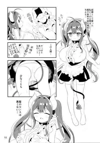 Hokori Takaki Shojo Succubus ga Dorei to Shite Urareru ga Saigo ni wa Egao ni Naru Arifureta Hanashi