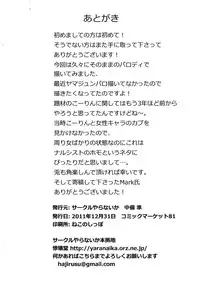 (C81) [Circle Yaranaika (Chuubi Jun)] Ore ga Ichiban Sexy (Touhou Project)