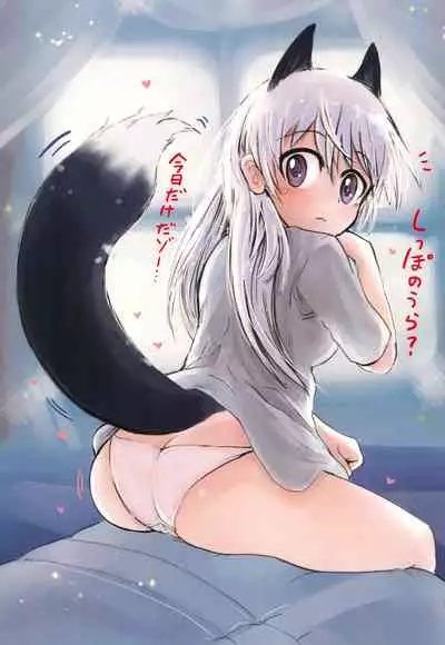 (C96) [Yoisumikeishindan (Shinza Mishiro)] Shippo no Ura Shashinshu 501 (Strike Witches)