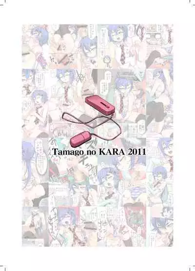 DESIRE CASE FILE 2.5