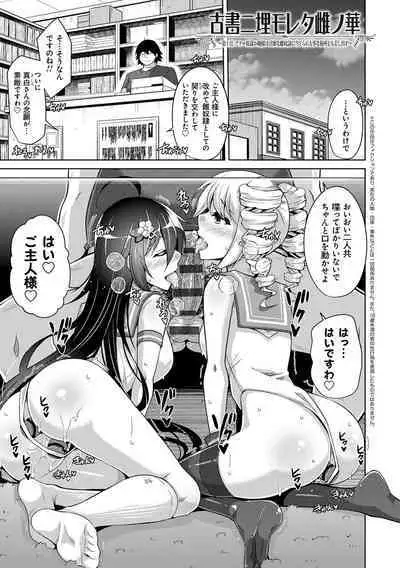 Kosho ni Umamoreta Mesu no Hana