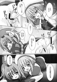 (C72) [Ekitou Koubou (Sawatari Reiji)] Super Rabbit (Mahou Shoujo Lyrical Nanoha)