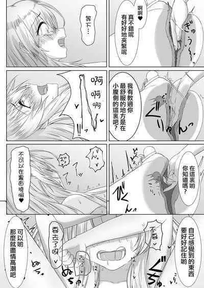 Ohime-sama ♂ no Ouzoku Kyouiku