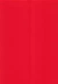 (C91) [Kuromisakaijou (Ikezaki Misa)] Fate/DTorder course:Alexander (Fate/Grand Order) [Chinese] [theoldestcat汉化]