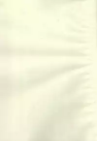 [Thrylos (Suu)] Ikemen de o najimi no hazu no ore ga nande konna kotoni!? (Kirakira PreCure a la Mode)